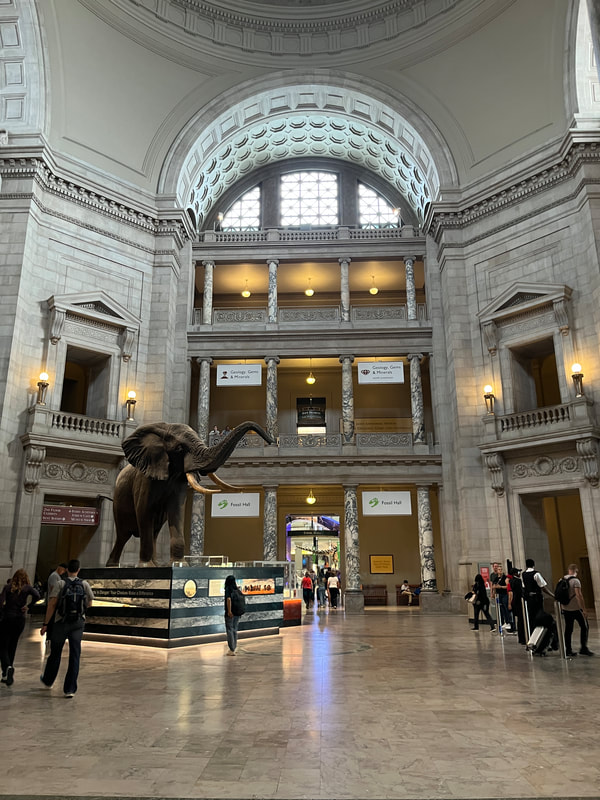 Interior of a large stone building with three floors. A large elephant sculpture is on the ground floor.